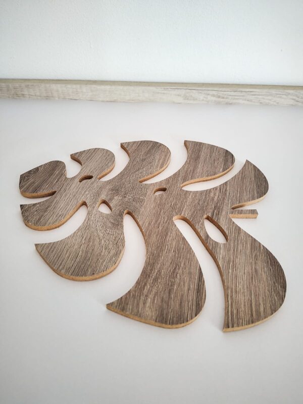 Monstera - Image 2