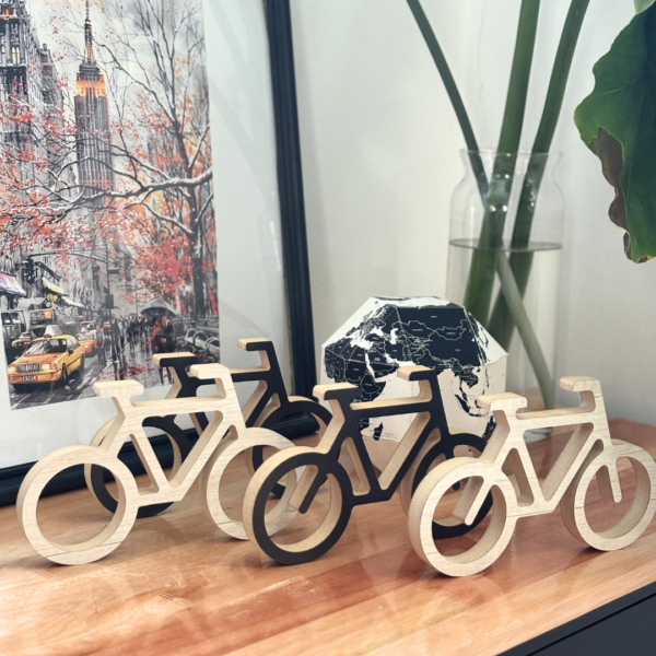 Bici SR - Image 4